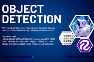 train and evaluate a custom yolo model for object detection
