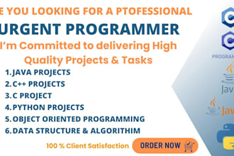 be python java c sql database, bot programming script project, website developer
