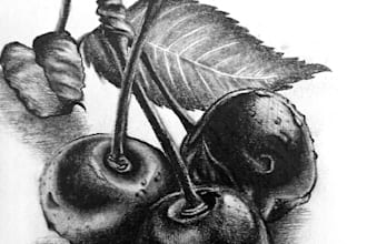 do hand drawn pencil sketch