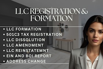 llc formation amendment dissolution reinstatement for US and non US resident