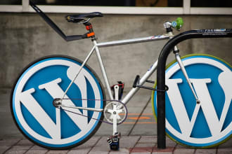 do fast reliable wordpress transfer, migration