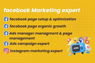 set up and manage facebook and instagram ad campaigns to boost your business