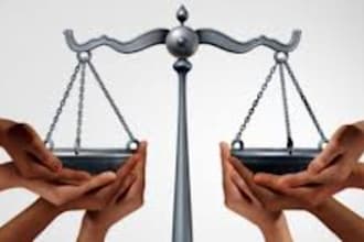 assist in legal research, paralegal services and case law analysis