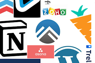 provide expert consultation to optimize business systems and processes