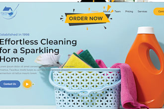 create airbnb cleaning website, move in move out, carpet cleaning website