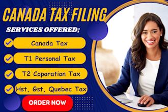 efile canada t1 personal and t2 coporate tax returns, uk company tax accounts