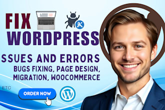 fix wordpress errors, bugs, speed issues, customization, plugin or theme problem