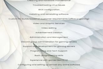 provide PC support, video editing, server setup, translation
