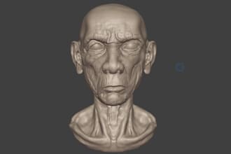 sculpt a unique 3d character for 3d printing or animation