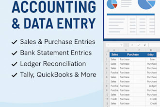 do accurate data entry and accounting entries in tally and software