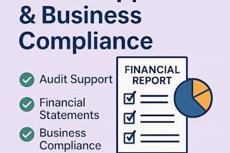 provide audit support and help in financial finalization