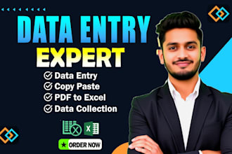 do any data entry, typing work job, copy paste, web research