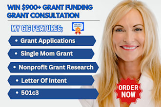 write business grant letter of intent single mom grant consultant research 501c3