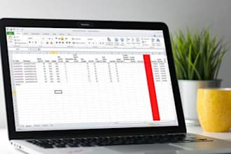 do accounting, bookkeeping, and financial reports