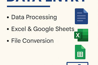 accurate data entry, data processing, and file conversion