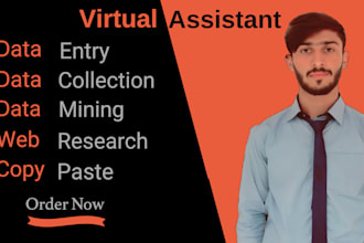do manual data entry, pdf to excel, copy past, and retyping