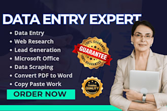 do data entry web research, copy paste work, data collection and pdf to excel