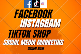 set up tiktok shop, instagram shop facebook shop or shopify dropshipping store
