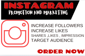 do super fast organic instagram promotion