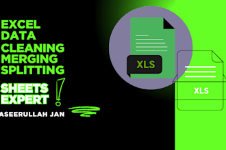do excel data cleaning splitting merging sheets
