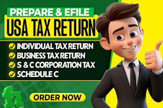 prepare balance sheet, profit and loss, paystub, paycheck, US tax return