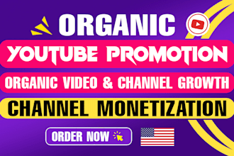 do organic youtube video promotion