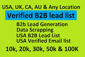 build USA 100k verified b2b lead list