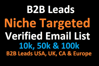 build USA b2b leads 100k niche targeted verified email list