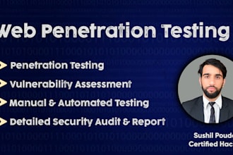 perform a professional web penetration test and security audit