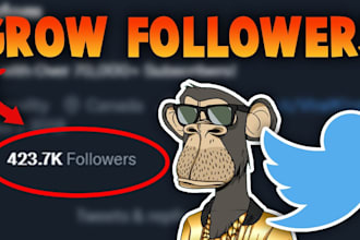 crypto twitter x marketing, boost solana memecoin promotion, twltter promotion