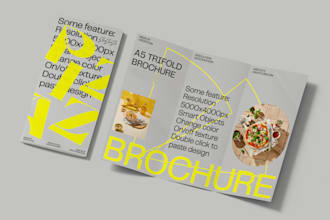 design a professional bifold, trifold brochure in 24hours