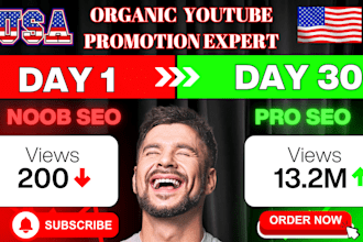 do USA organic youtube video promotion and optimization 4 complete monetization