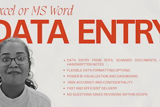 do fast and accurate data entry in excel or word documents