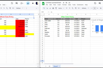 do fast typing, data entry, and tech support with accuracy