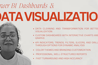 create a professional power bi dashboard based on your needs