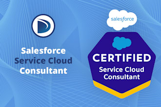provide end to end salesforce service cloud setup and customization
