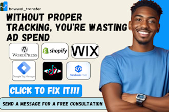 integrate google tag ads conversion meta tiktok pixel capi wix wordpress shopify