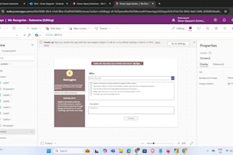 do custom power apps development canvas and model apps