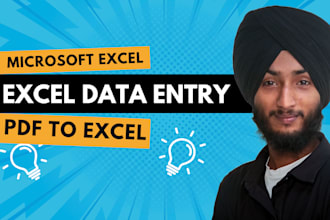 be your excel virtual assistant for data entry, web research, PDF to excel