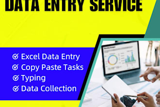 provide excel data entry, copy paste tasks, typing and data collection