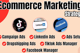 shopify real estate linkedin facebook tik tok meta ads campaign manager setup