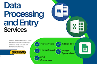 do google docs, spreadsheet, excel doc, drive sheets and data entry