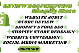 design, redesign, and audit shopify website, shopify dropshipping store