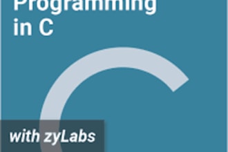 help you in zybooks  labs, participation activities, and challenges