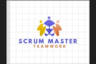 provide scrum master professional skills