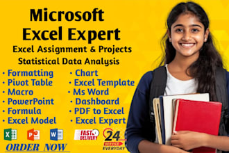 do your microsoft excel assignments projects and modules