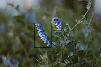 make data annotations for you