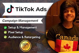 setup and manage your tiktok ads