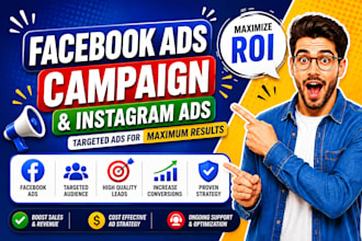 setup facebook ads campaign and instagram ads