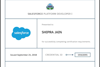 provide expert salesforce admin and development services